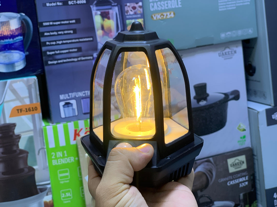 Solar Induction Wall Lamp HW 669